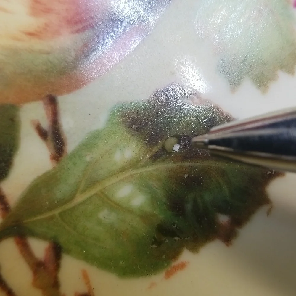 Antique J & C Louise Bavaria Apple Plate - Picture 12 of 14